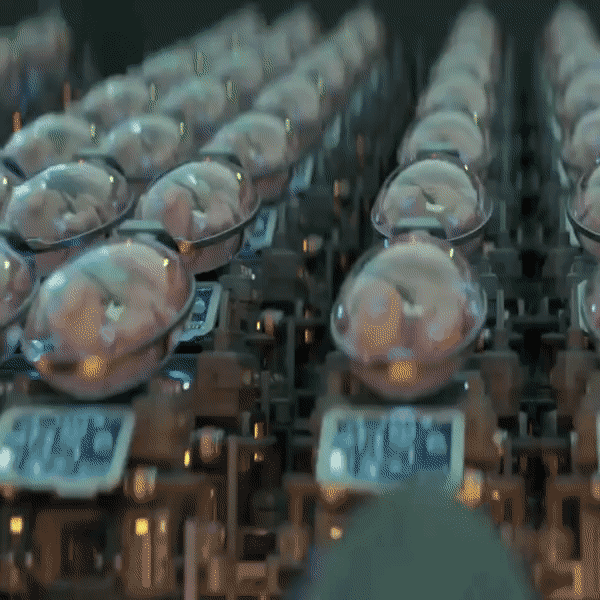 Artificial womb facility concept for 30,000 babies per year