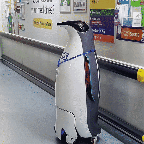 NHS to trial penguin-esque hospital helper bot