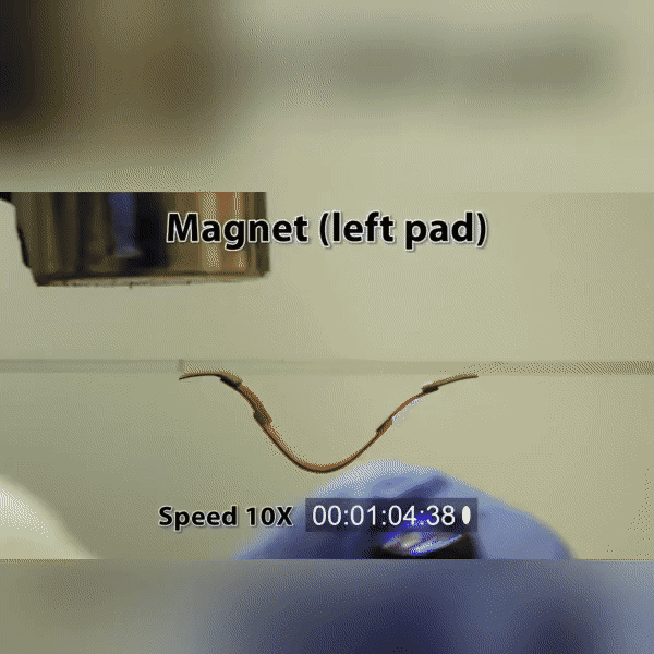 Tiny worm-like climbing bot uses UV light to move