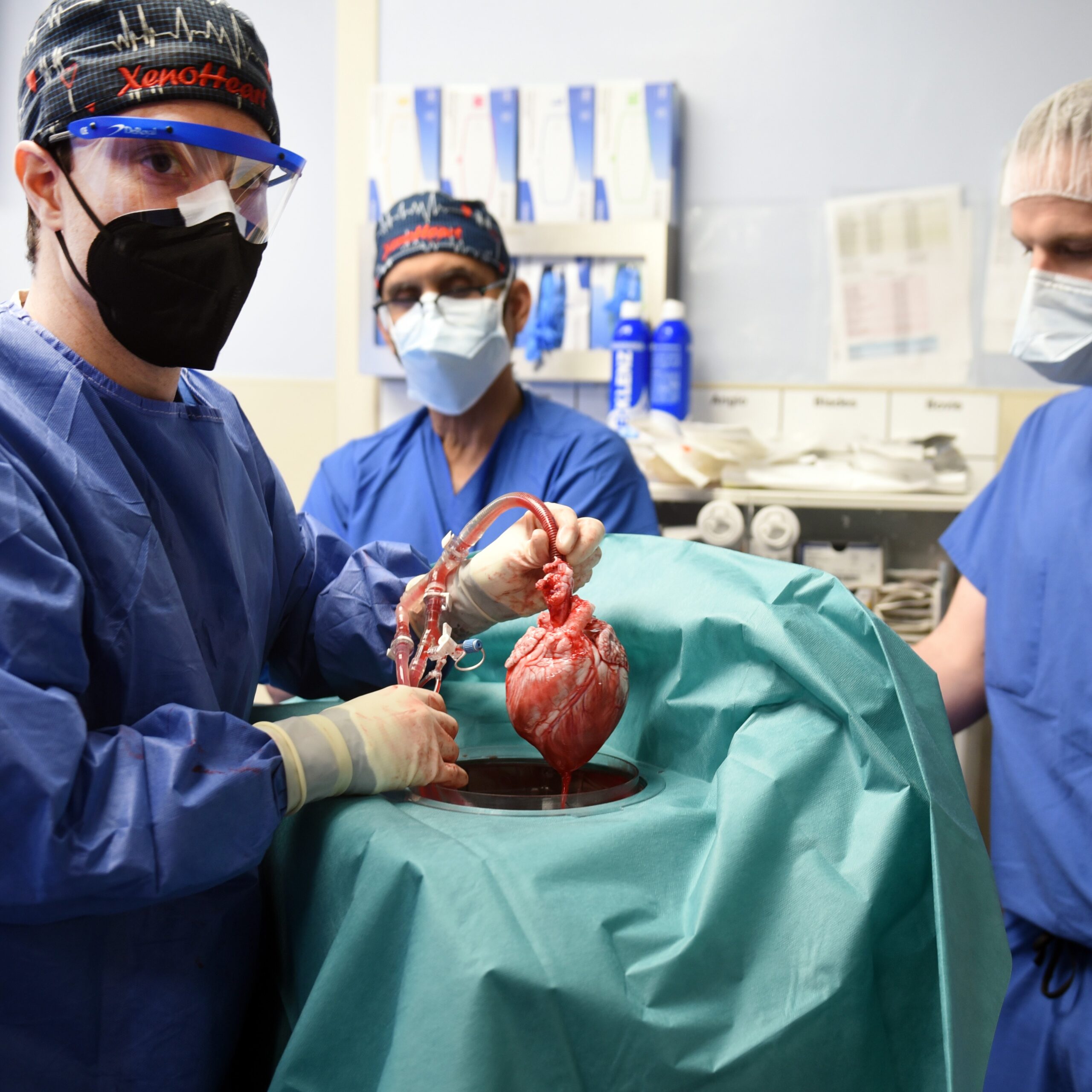 Lessons from first genetically-modified pig heart into human patient