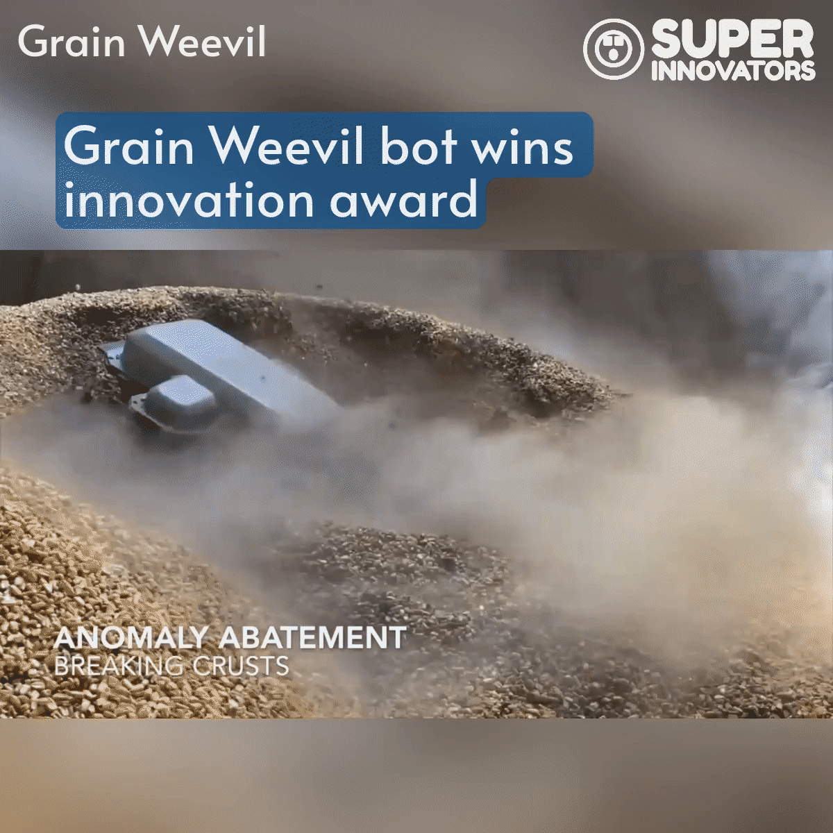 Grain Weevil bot wins innovation award