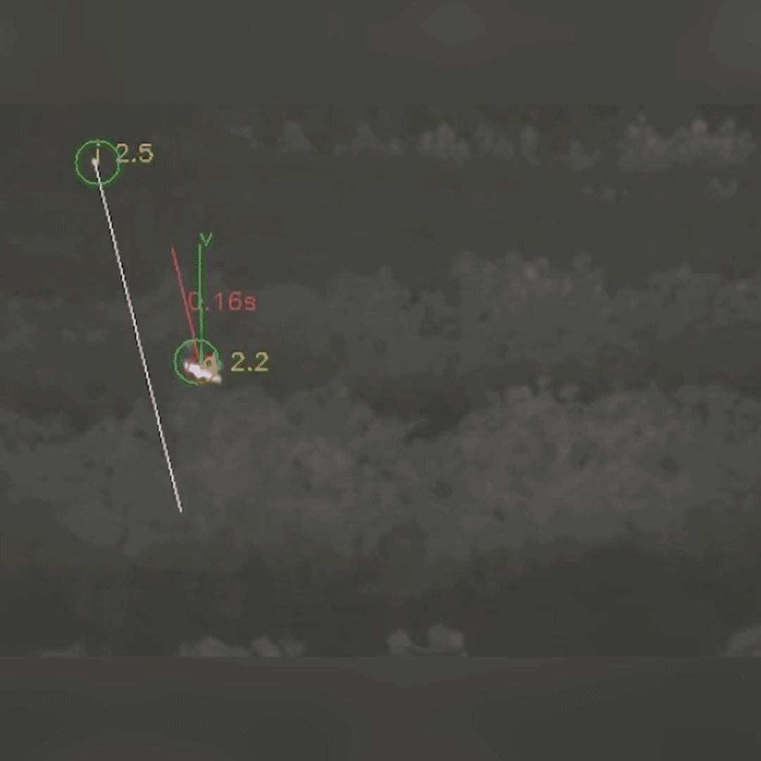 Hunting down moth pests with drones