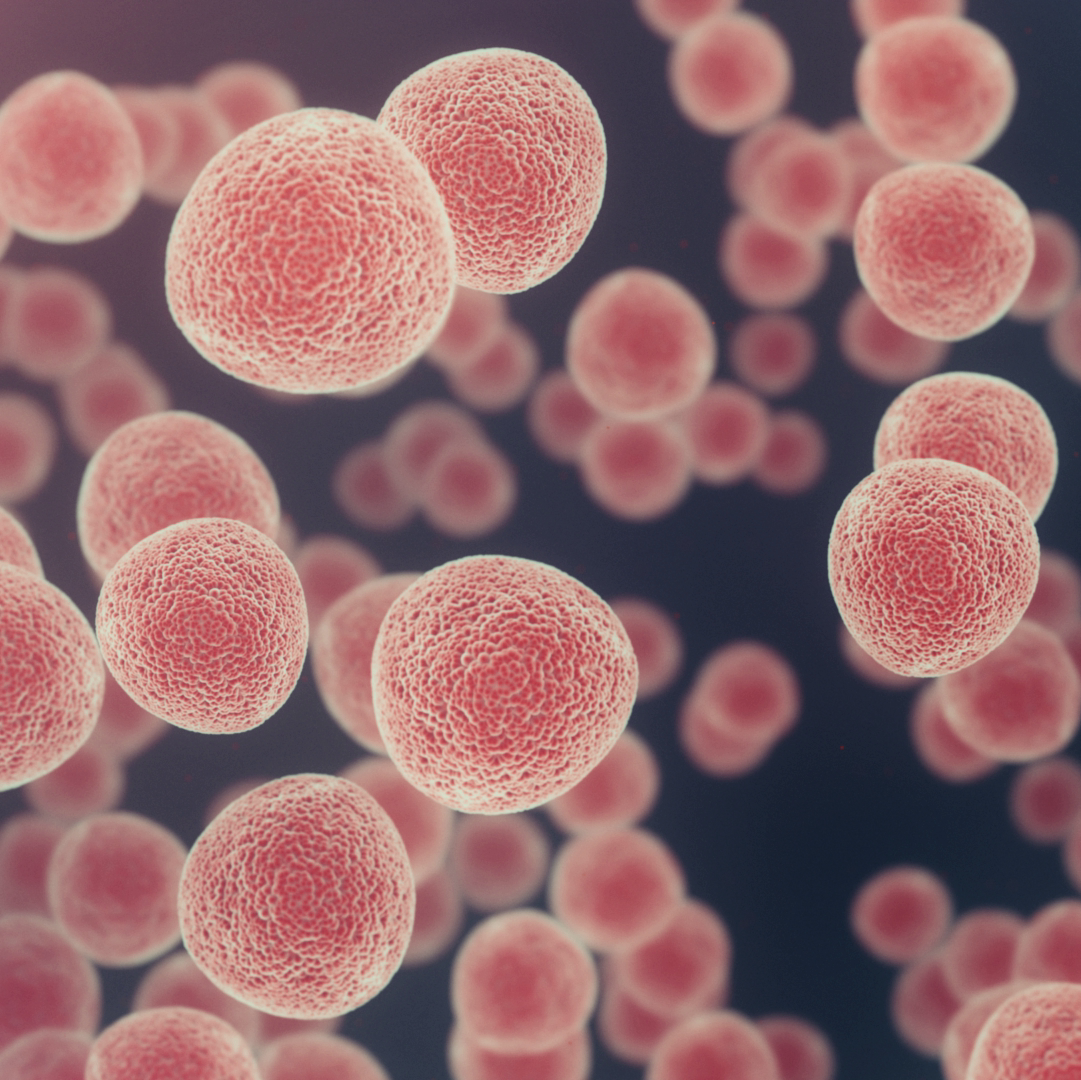 Novel cancer therapy: Light-triggered nanospheres attack tumors from within