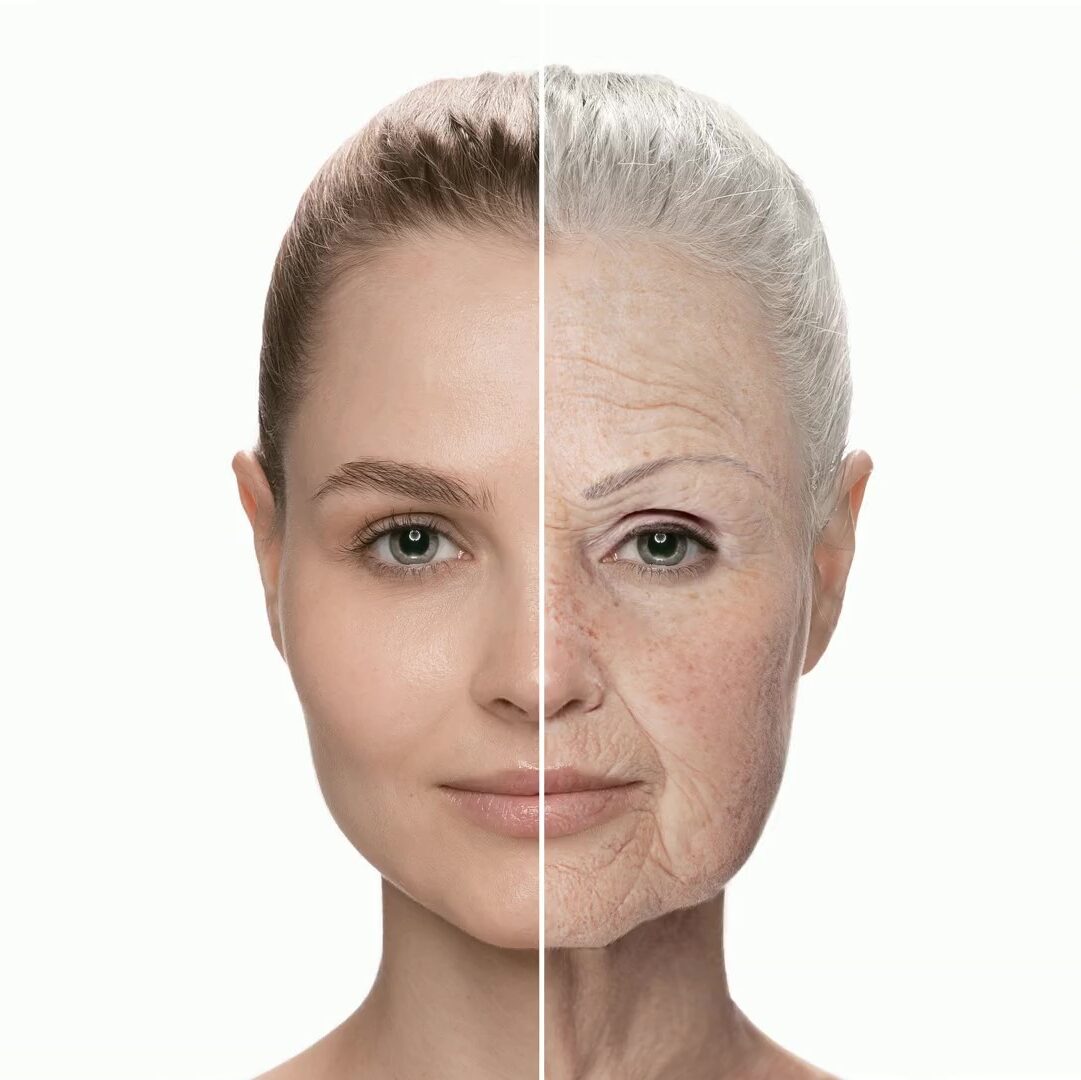 Stop ageing: Innovators extend life of worms using DNA therapy