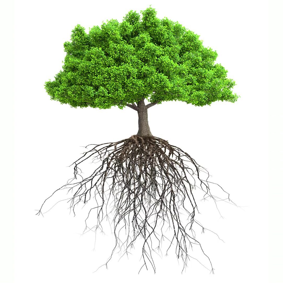 Hitch a ride: Engineered viruses carry pesticide to crop roots, more eco-friendly