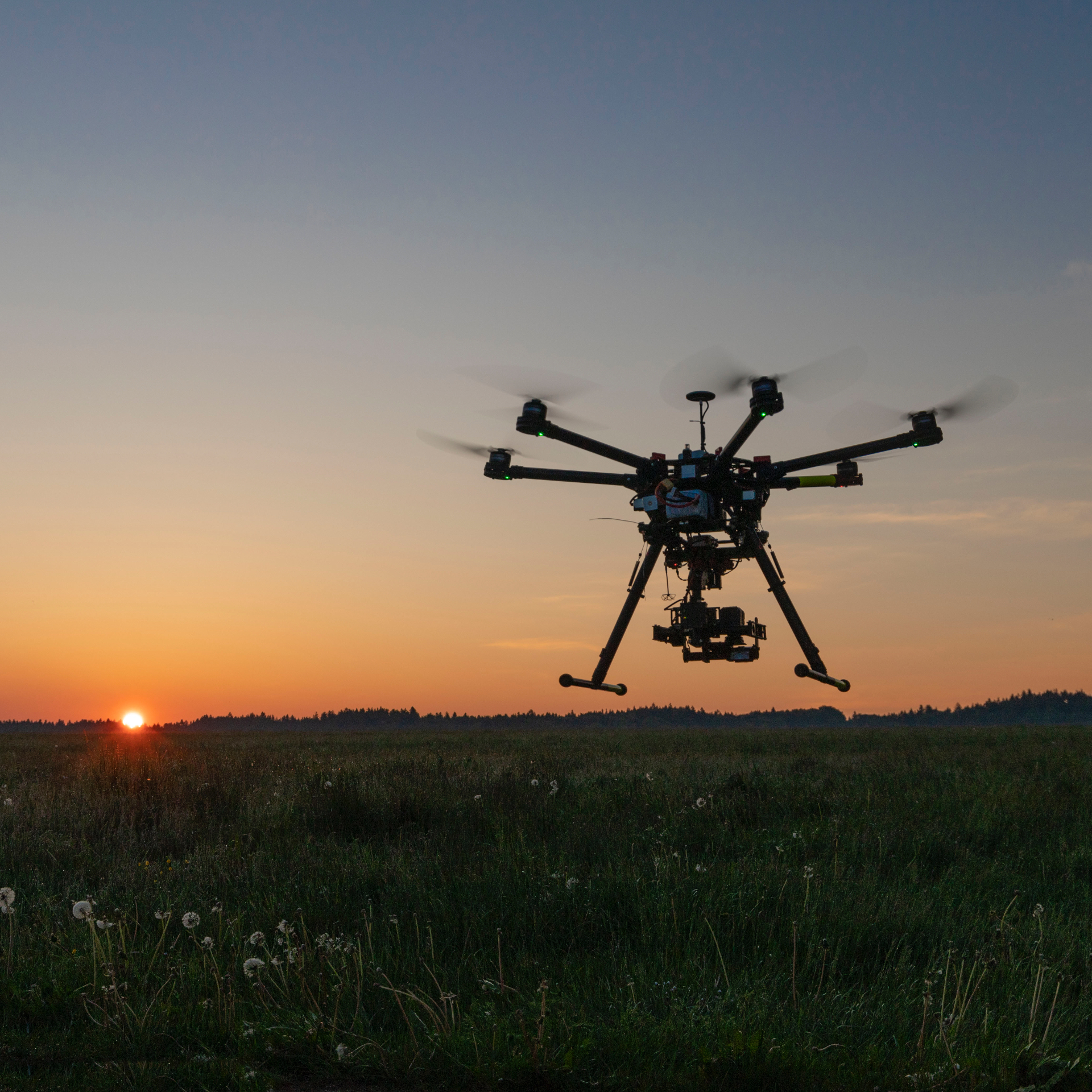Are you a grow-bot? AI drones to help farmers optimise vegetable harvests