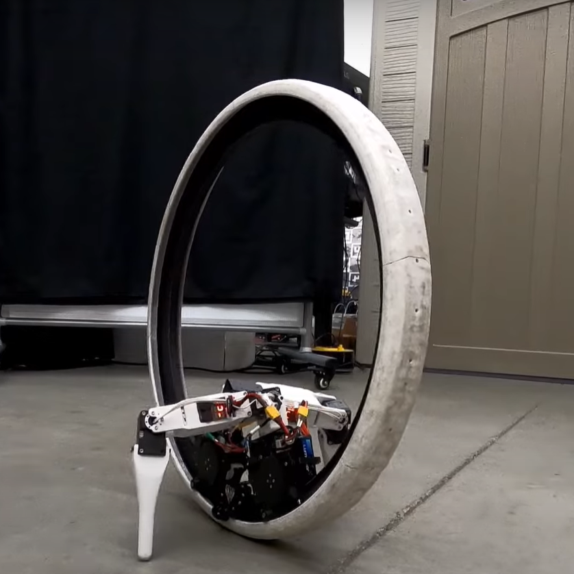 Monocycle bot with legs