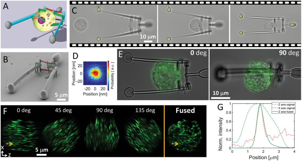 Cell tweezers structure and its application for multiview microscopic imaging. Credit: Gergely T. Iványi et al./Advanced Materials. Article: VIDEO: Single-cell manipulation with laser-powered microbots