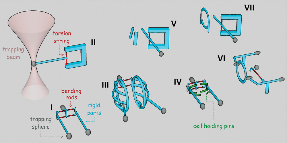 Schematic representations of the elastic, deformable microbots used in the experiments. Credit: Gergely T. Iványi et al./Advanced Materials. Article: VIDEO: Single-cell manipulation with laser-powered microbots