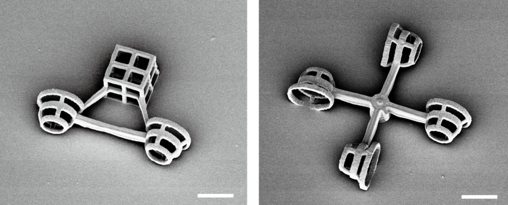 Scanning electron microscope images of the two micromachines. These photos show the “scooter” (on the left) and “rotator” (on the right). Each micromachine was observed in detail and using motion tracking for 70 seconds at a time over several hours. The scale bar length is 10 microns (0.01 millimeter). Credit: 2024 The Shoji Takeuchi Research Group at the University of Tokyo