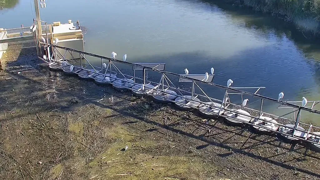 Canale Vela – Quarto D’Altino (Venice, Italy), installed 2023. Credit: River Cleaning