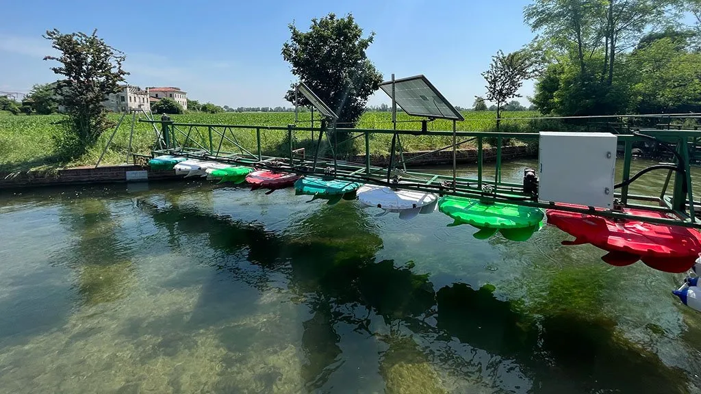 Roggia Dolfina – Rosà (Vicenza, Italy), 2022. Credit: River Cleaning