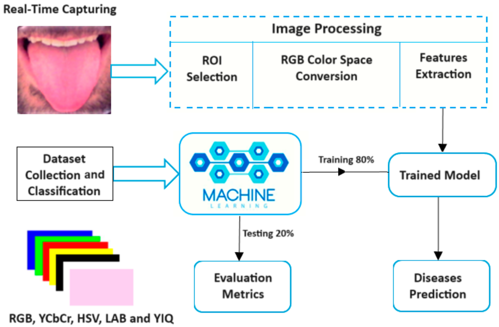 Block diagram of the tongue color analysis system. Credit: Ali Raad Hassoon et al. Technologies (2024).