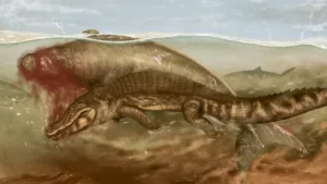 Illustration of a sea cow being attacked by a crocodile. Credit Jaime Bran Sarmiento