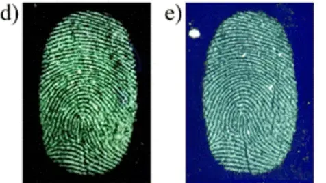 New nanomaterial could transform how we visualise fingerprints