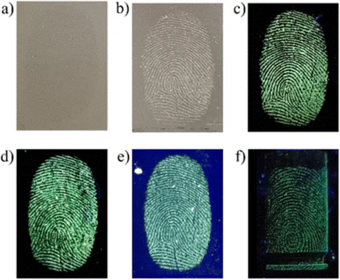 Development of latent fingerprints. Credit RSC Advances